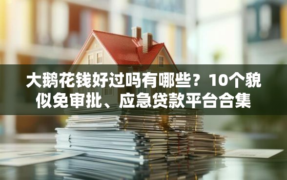 大鹅花钱好过吗有哪些？10个貌似免审批、应急贷款平台合集