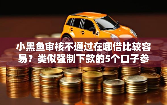 小黑鱼审核不通过在哪借比较容易？类似强制下款的5个口子参考