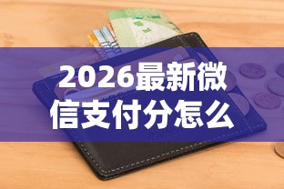 2026最新微信支付分怎么查询记录，总结十个征信花借款平台容易通过！