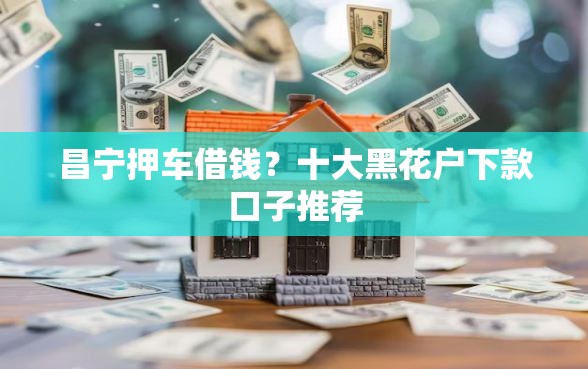 昌宁押车借钱？十大黑花户下款口子推荐