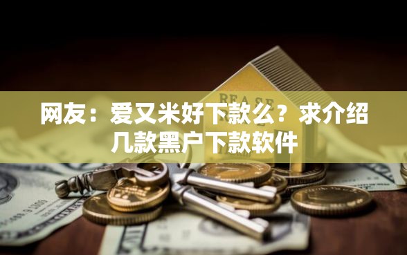 网友：爱又米好下款么？求介绍几款黑户下款软件