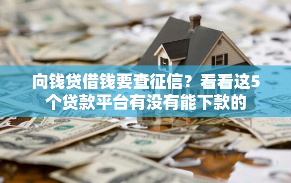 向钱贷借钱要查征信？看看这5个贷款平台有没有能下款的