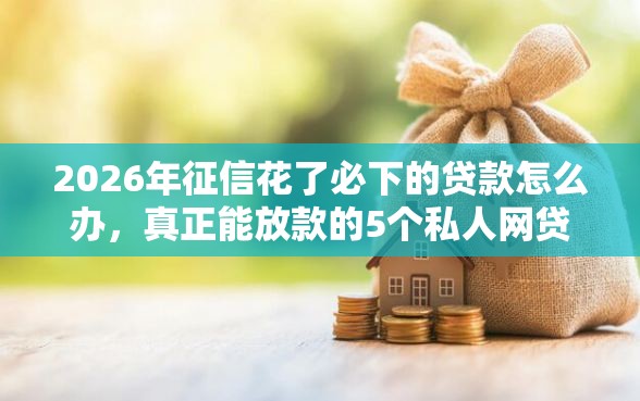 2026年征信花了必下的贷款怎么办，真正能放款的5个私人网贷平台推荐