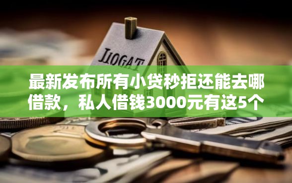 最新发布所有小贷秒拒还能去哪借款，私人借钱3000元有这5个渠道