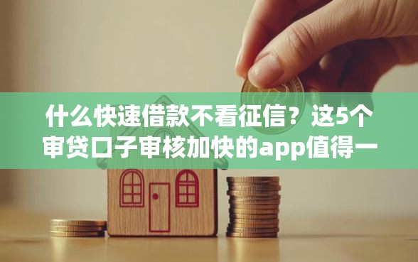 什么快速借款不看征信？这5个审贷口子审核加快的app值得一试