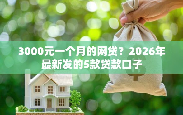 3000元一个月的网贷?2026年最新发的5款贷款口子 3000元一个月的网贷?2026年最新发的5款贷款口子
