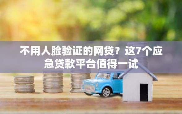 不用人脸验证的网贷？这7个应急贷款平台值得一试