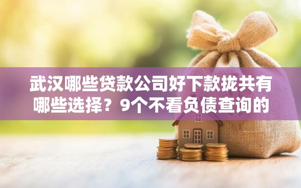 武汉哪些贷款公司好下款拢共有哪些选择？9个不看负债查询的平台详解
