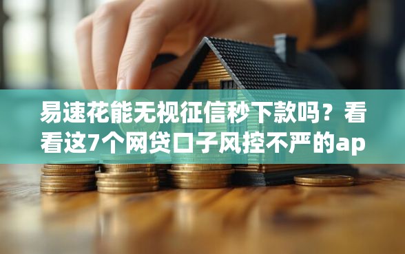 易速花能无视征信秒下款吗？看看这7个网贷口子风控不严的app怎么样
