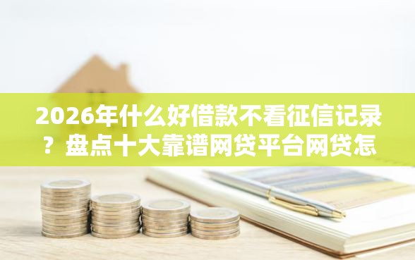 2026年什么好借款不看征信记录？盘点十大靠谱网贷平台网贷怎么样