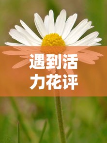 遇到活力花评估不过怎么办?或可尝试这6个黑贷款平台 遇到活力花评估不过怎么办?或可尝试这6个黑贷款平台