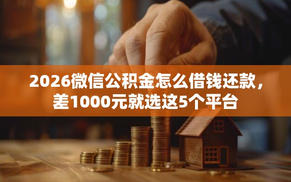 2026微信公积金怎么借钱还款,差1000元就选这5个平台 2026微信公积金怎么借钱还款,差1000元就选这5个平台