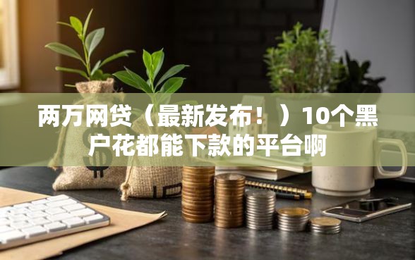 两万网贷（最新发布！）10个黑户花都能下款的平台啊