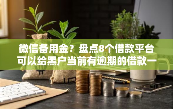 微信备用金？盘点8个借款平台可以给黑户当前有逾期的借款一万给你参考