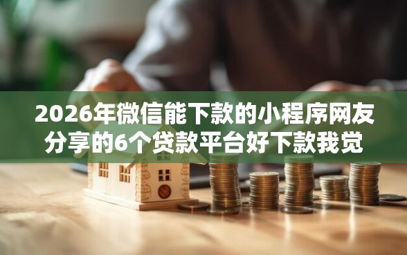 2026年微信能下款的小程序网友分享的6个贷款平台好下款我觉得不错！
