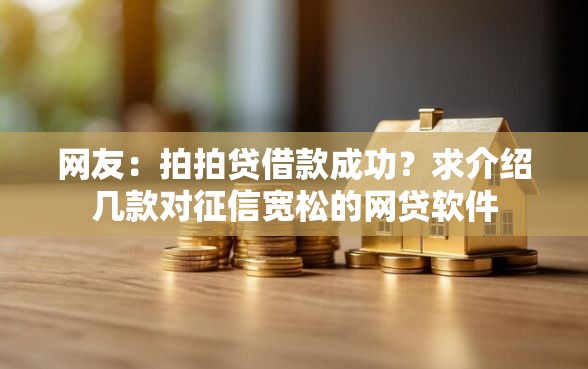 网友：拍拍贷借款成功？求介绍几款对征信宽松的网贷软件