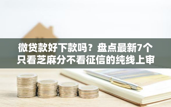 微贷款好下款吗？盘点最新7个只看芝麻分不看征信的纯线上审批平台