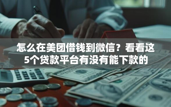 怎么在美团借钱到微信？看看这5个贷款平台有没有能下款的