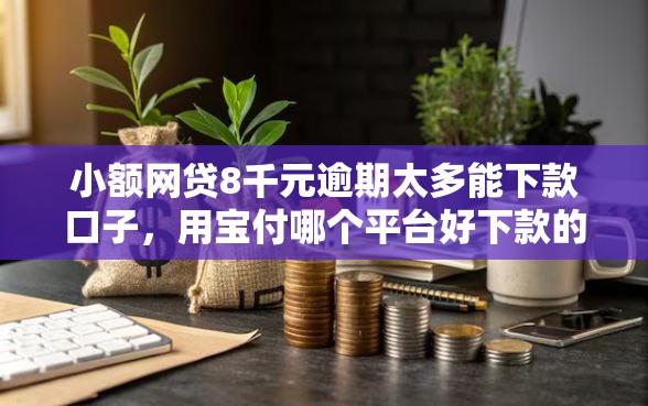小额网贷8千元逾期太多能下款口子，用宝付哪个平台好下款的8个平台介绍