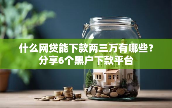 什么网贷能下款两三万有哪些？分享6个黑户下款平台