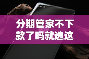 分期管家不下款了吗就选这7个20000元平安网贷平台