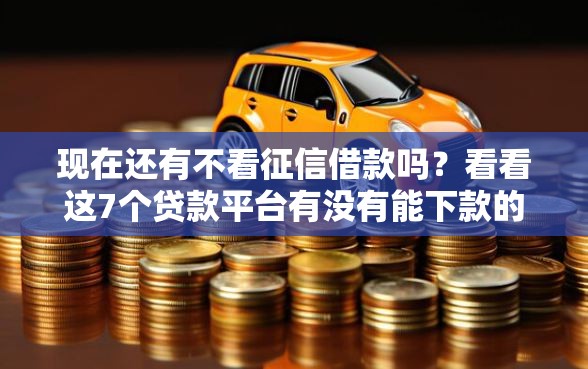 现在还有不看征信借款吗？看看这7个贷款平台有没有能下款的