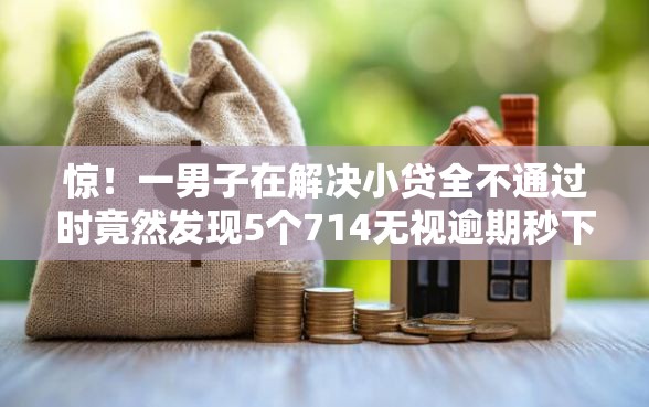 惊！一男子在解决小贷全不通过时竟然发现5个714无视逾期秒下的软件，事后分享了出来