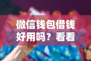 微信钱包借钱好用吗?看看这5个黑户在平台可以借款怎么样 微信钱包借钱好用吗?看看这5个黑户在平台可以借款怎么样