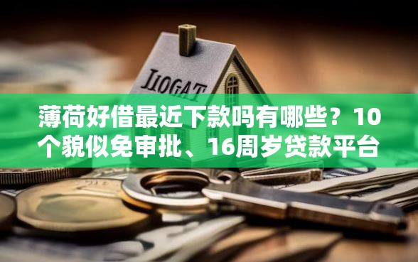 薄荷好借最近下款吗有哪些？10个貌似免审批、16周岁贷款平台合集