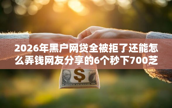 2026年黑户网贷全被拒了还能怎么弄钱网友分享的6个秒下700芝麻分贷款软件我觉得不错！