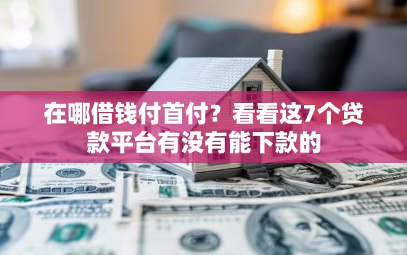 在哪借钱付首付？看看这7个贷款平台有没有能下款的