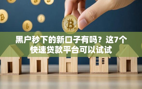 黑户秒下的新口子有吗？这7个快速贷款平台可以试试