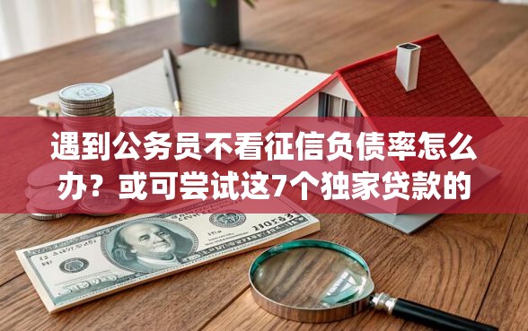 遇到公务员不看征信负债率怎么办？或可尝试这7个独家贷款的app