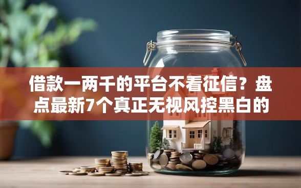 借款一两千的平台不看征信？盘点最新7个真正无视风控黑白的网贷
