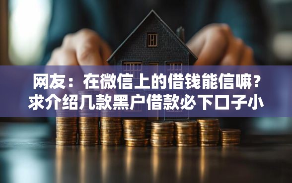 网友：在微信上的借钱能信嘛？求介绍几款黑户借款必下口子小额贷款