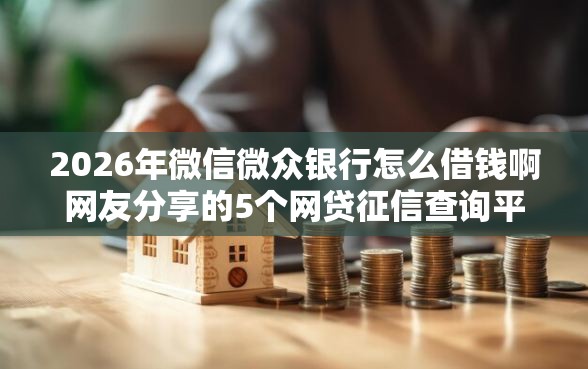 2026年微信微众银行怎么借钱啊网友分享的5个网贷征信查询平台我觉得不错！