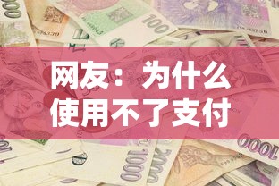 网友：为什么使用不了支付分？求介绍几款像花薪一样能借30天的口子