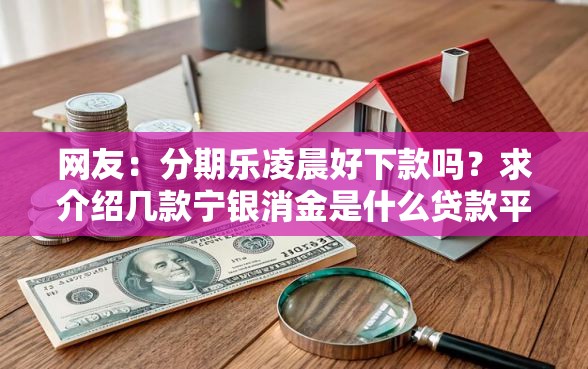网友：分期乐凌晨好下款吗？求介绍几款宁银消金是什么贷款平台