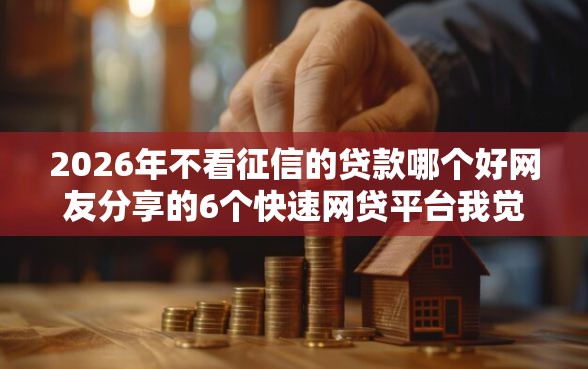 2026年不看征信的贷款哪个好网友分享的6个快速网贷平台我觉得不错！