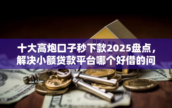 十大高炮口子秒下款2025盘点，解决小额贷款平台哪个好借的问题