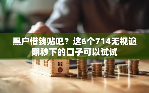 黑户借钱贴吧？这6个714无视逾期秒下的口子可以试试
