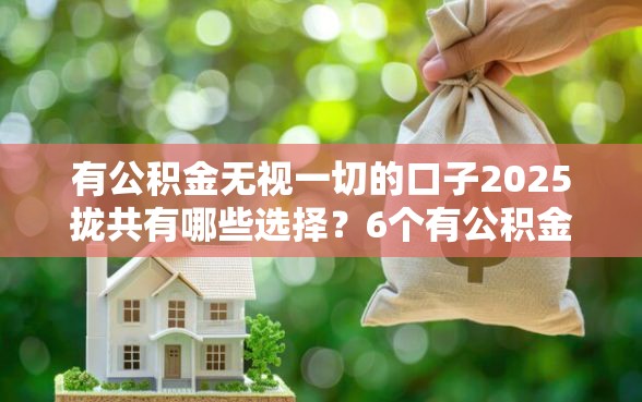 有公积金无视一切的口子2025拢共有哪些选择？6个有公积金无视一切的口子详解