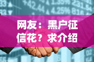 网友：黑户征信花？求介绍几款不查流水的小额度贷款app