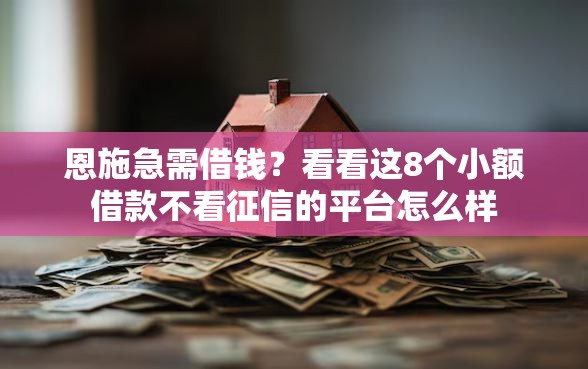 恩施急需借钱？看看这8个小额借款不看征信的平台怎么样