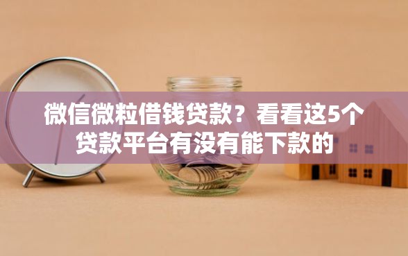 微信微粒借钱贷款？看看这5个贷款平台有没有能下款的