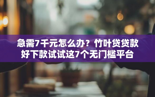 急需7千元怎么办？竹叶贷贷款好下款试试这7个无门槛平台