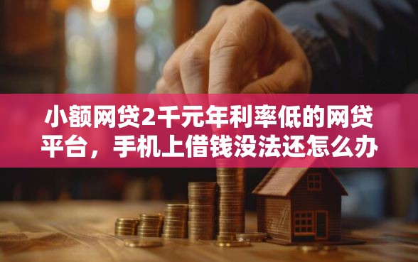 小额网贷2千元年利率低的网贷平台，手机上借钱没法还怎么办的8个平台介绍
