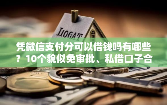凭微信支付分可以借钱吗有哪些？10个貌似免审批、私借口子合集