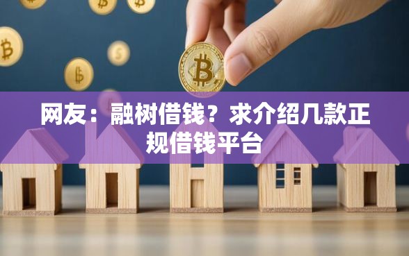 网友：融树借钱？求介绍几款正规借钱平台