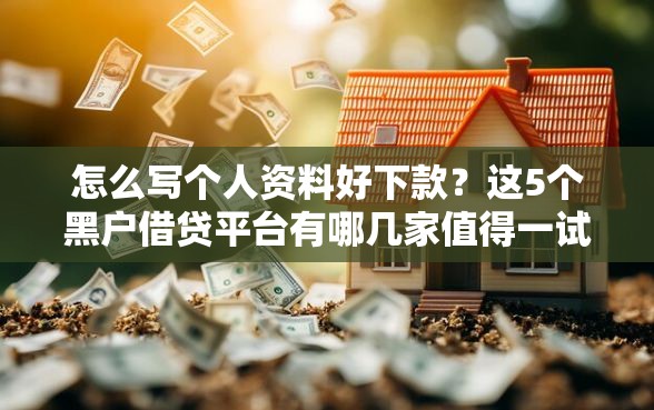 怎么写个人资料好下款？这5个黑户借贷平台有哪几家值得一试